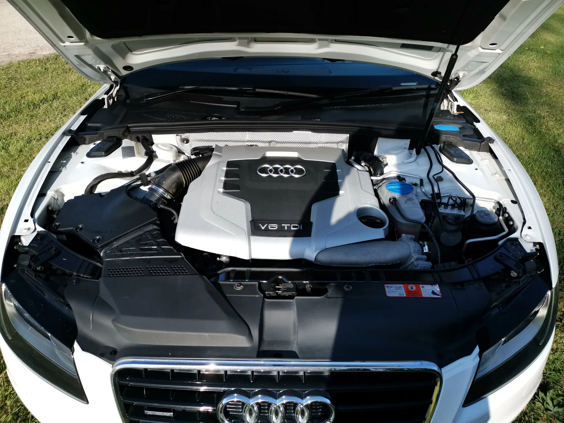 Engine Bay Detail